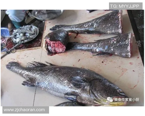 鱼吃鱼游戏卡顿现象解析及其背后技术原因探讨 鱼吃鱼游戏卡顿现象解析及其背后技术原因探讨